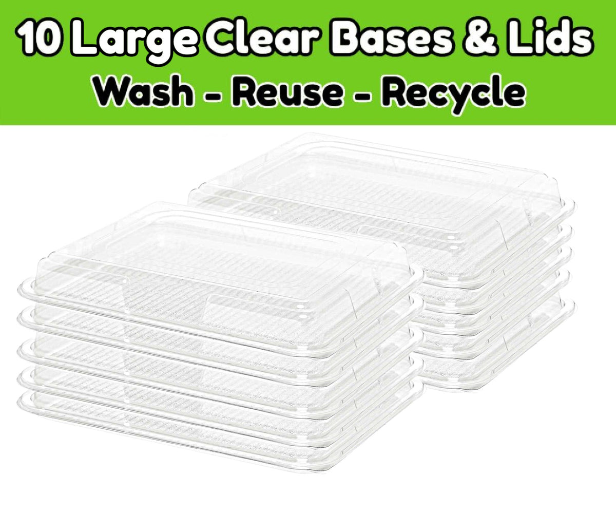 10 Clear Large Base Platters & Clear Lids - Total Visibility For Your Party Food