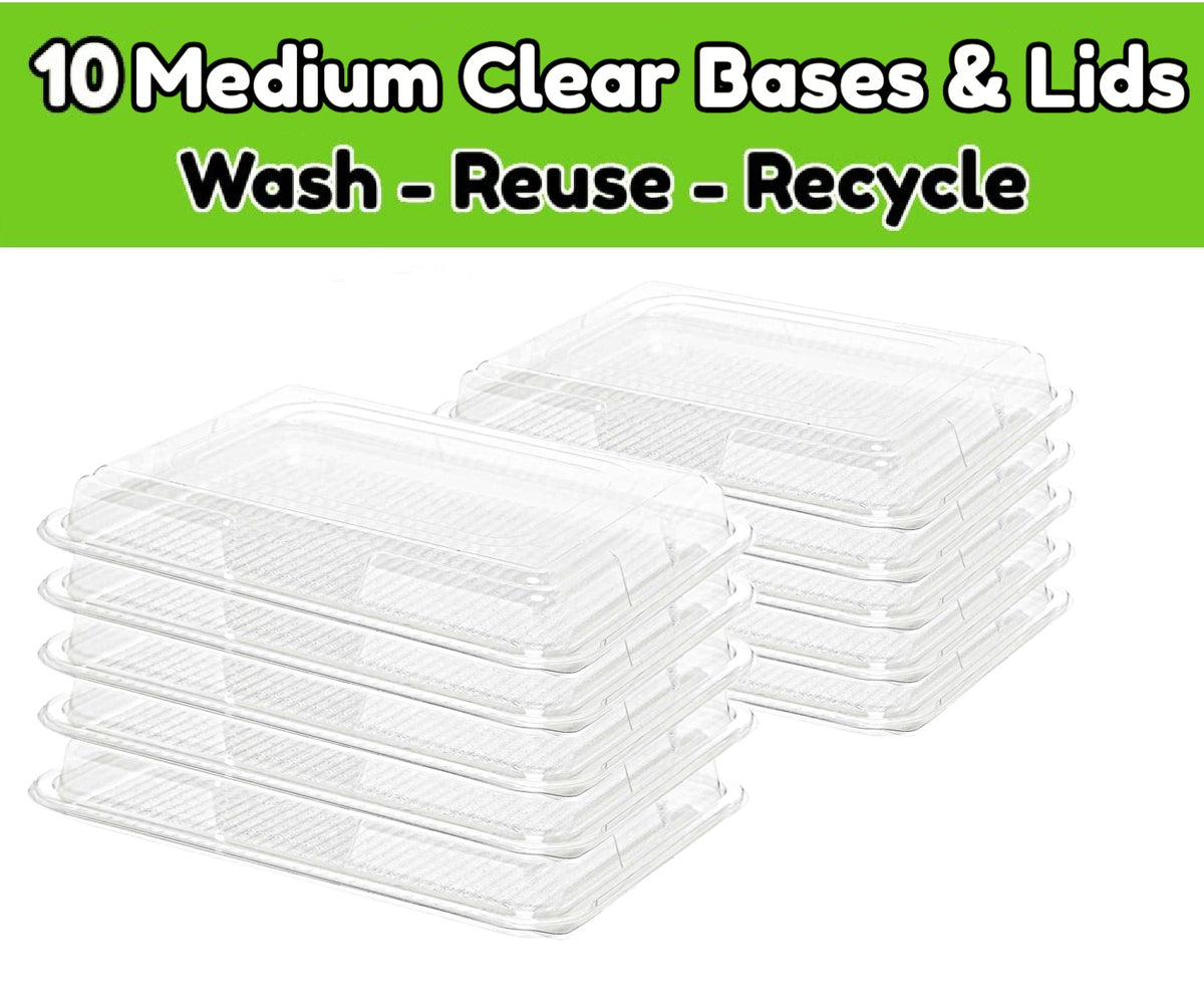 10 Clear Medium Base Platters & Lids -(390mm x 250mm x 75mm)