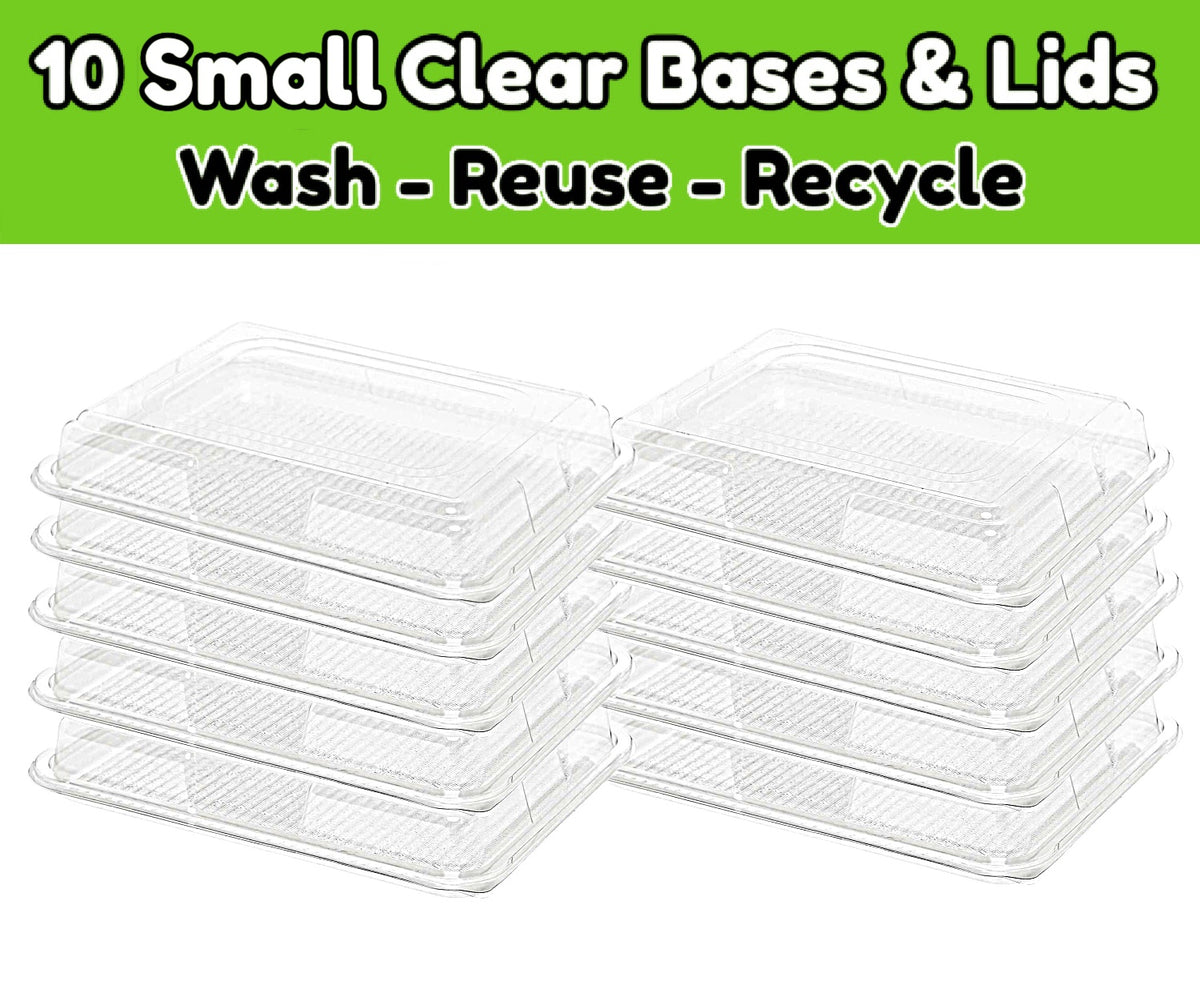 10 Clear Small Base Platters + 10 Clear Lids (340mm x 250mm x 70mm)