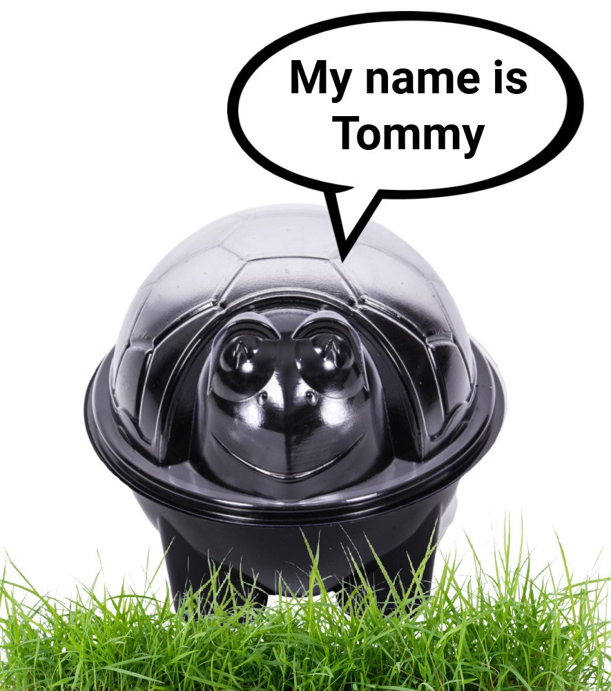 Tommy Tortoise Salad & Snack Bowls For Kids- 20 Black Bases + 20 Tortoise Lids