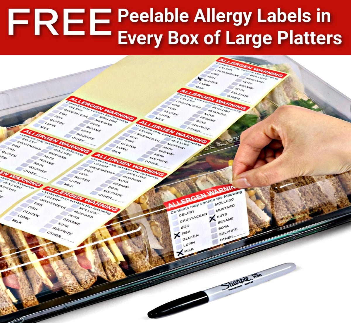 6 Large Serving Platters + 6 Clear Deep Dome Lids + 6 Allergy Labels