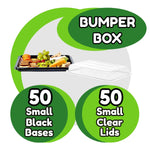 Caterline Small Platters and Lids 50 Bumper