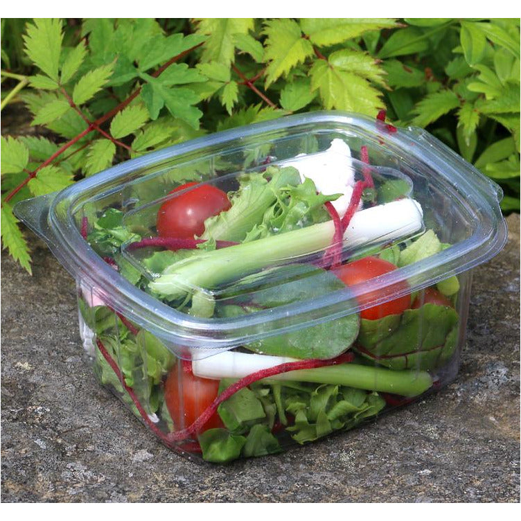 100 x 1000cc Clear Cold Food/Salad/Cake Container With Hinged Lid (170mm x 135mm x 75mm) Recyclable rpet - Caterline -