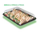 25 Large Sandwich Platters + 25 Clear Lids PLUS 25 Allergy Labels
